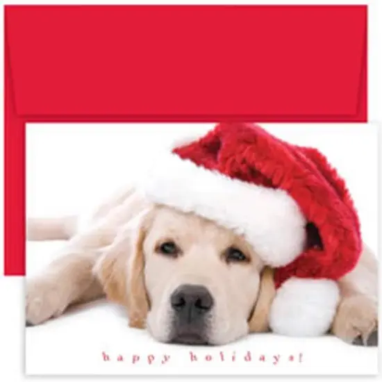 JAM Paper Santa Puppy Blank Christmas Cards Set, 18ct. {1}