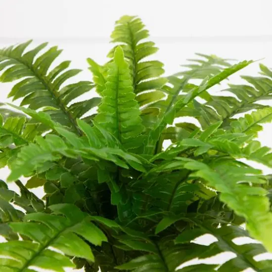 19" UV-Resistant Artificial Boston Ferns, 2ct. {9}