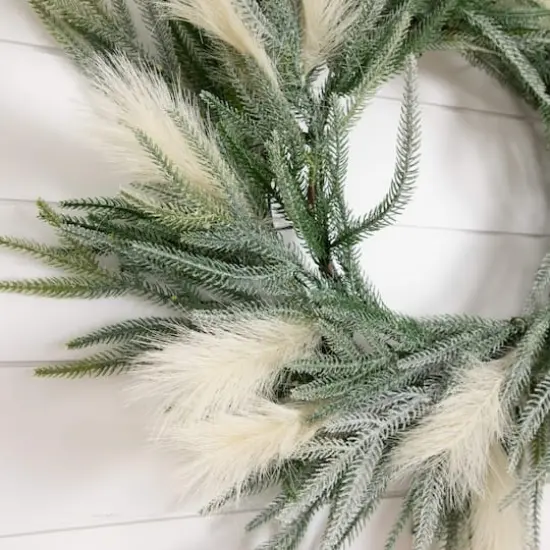 24in. Artificial Balsam Fir Pine and Pampas Wreath with 50 Color Changing LED Lights {4}