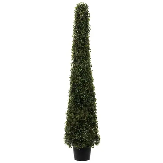 4ft. Potted Boxwood Cone {1}