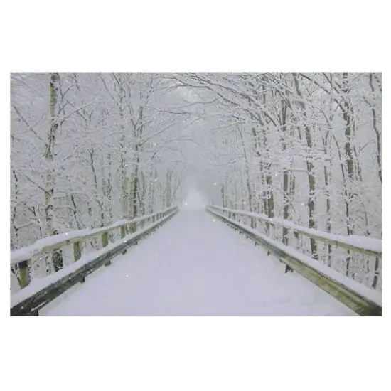 Winter Wooden Bridge Fiber Optic Lighted Canvas Wall Art {1}