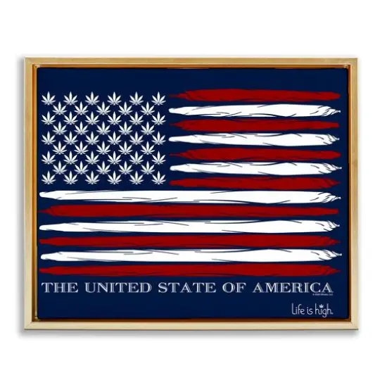 Stupell Industries Herb America Flag Floater Framed Art Gold {1}