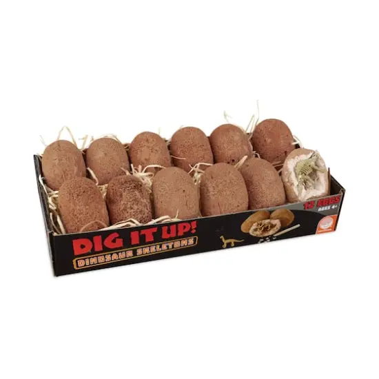 Dig It Up! - Dinosaur Skeletons {3}