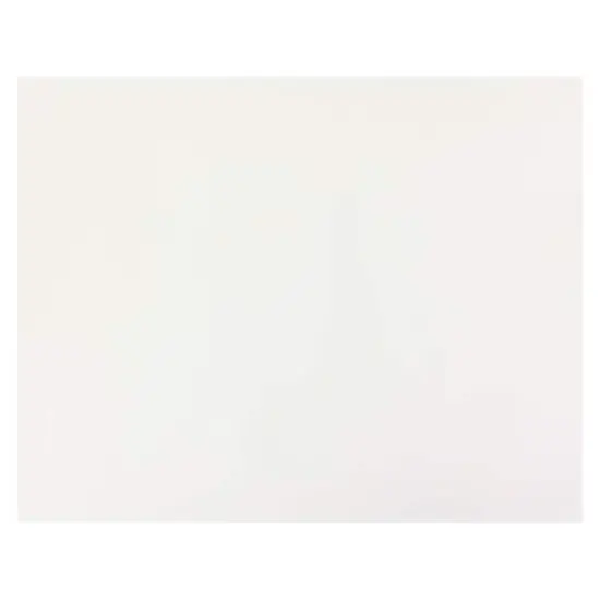 22" x 28" White Poster Board, 10ct. {4}