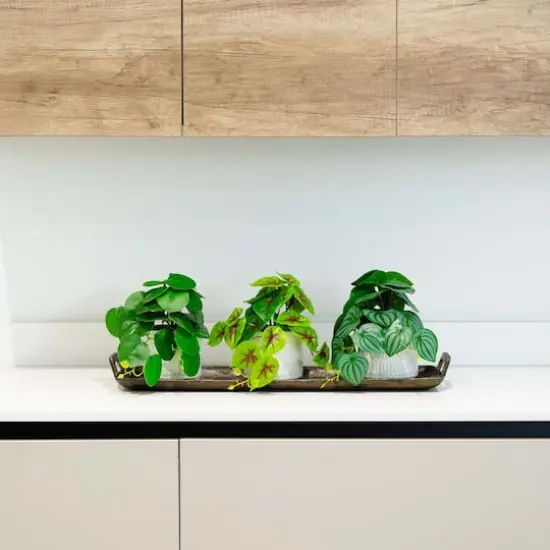 8" Mixed Greenery in Ceramic Planters Set {5}