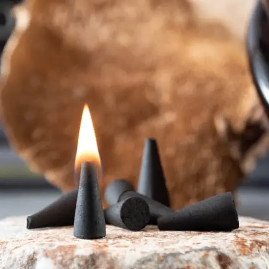 Midnight Woods Scented Incense Cones, 40ct. by Ashland&reg; {4}