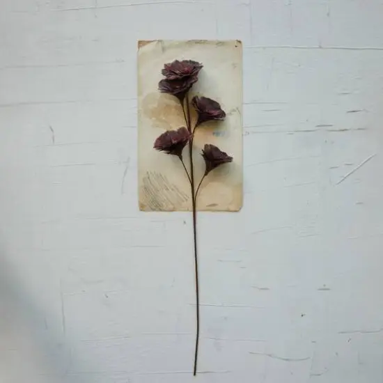 Hello Honey&reg; 33" Burgundy Feather Flower Stem {3}