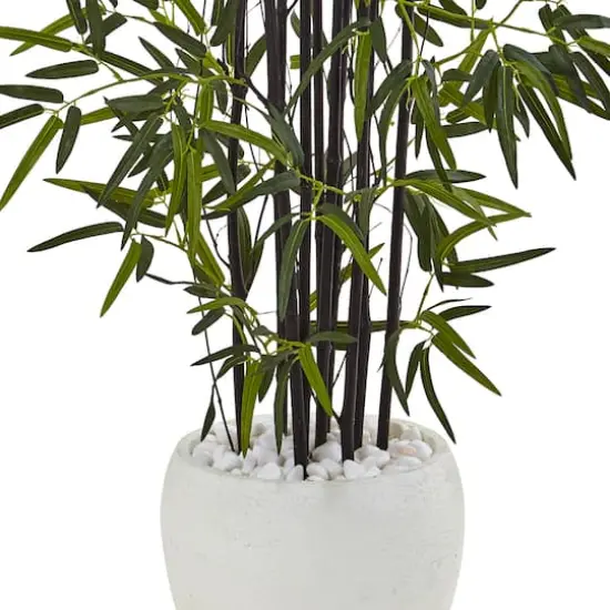 5ft. Black Bamboo Tree in White Oval Planter {4}