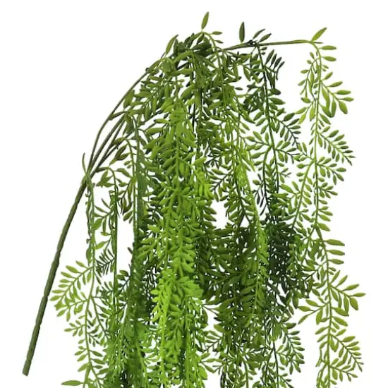 26" Hanging Ficus Bush by Ashland&reg; {3}