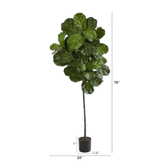 6.5ft. Potted Fiddle Leaf Tree {3}