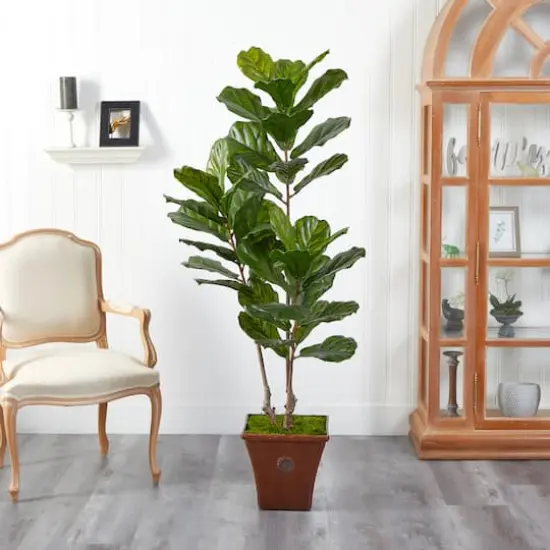 5.5ft. Fiddle Leaf Artificial Tree in Brown Planter UV Resistant (Indoor/Outdoor) {4}