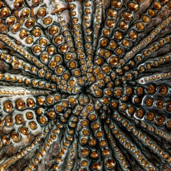 Hello Honey® 4.25" Multicolor Embossed Dots Stoneware Dish Set {7}