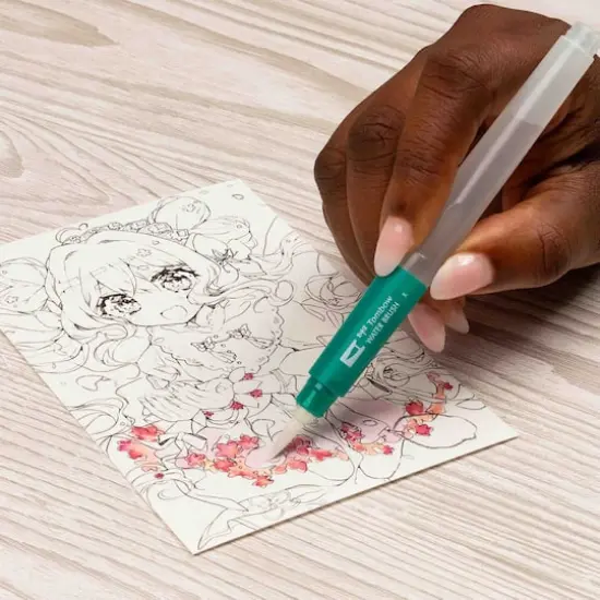 Tombow Flowers Manga Illustration Dual Brush Pen Art Set {10}