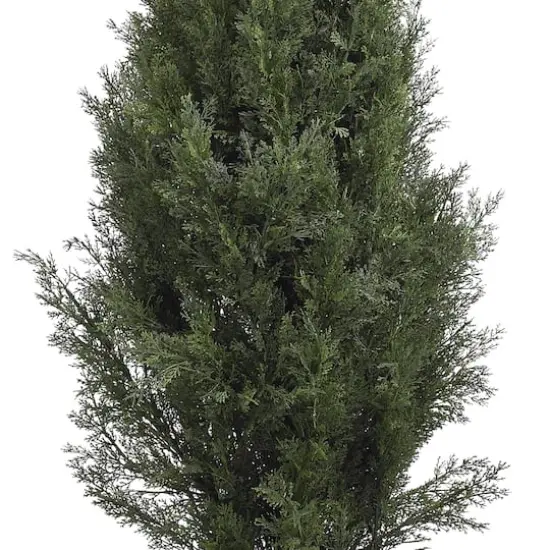 5ft. Cedar Pine Tree {3}