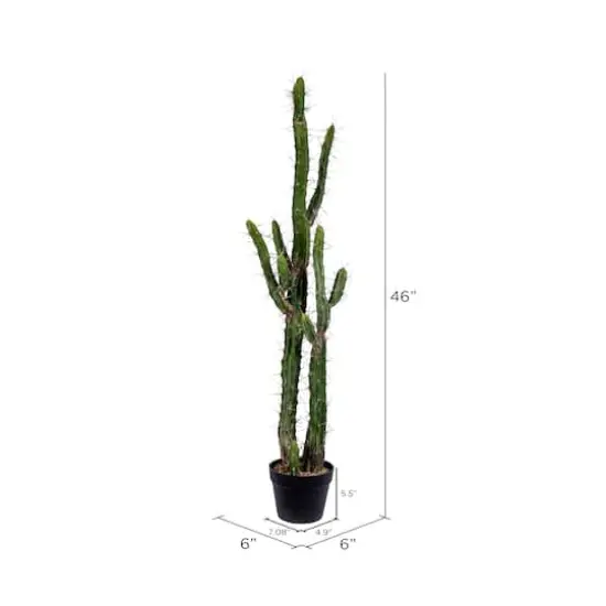 4ft. Potted Green Cactus {3}