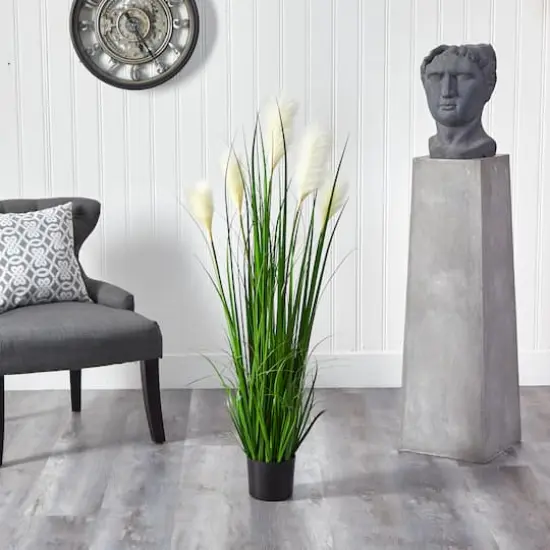 4ft. Potted Plume Grass Plant {4}