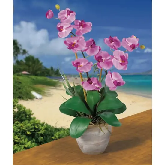 2ft. Double Moth Orchid Silk Flower Arrangement Mauve {3}
