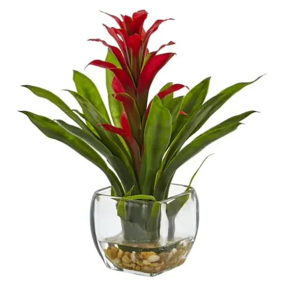 12" Red Bromeliad Arrangement in Glass Vase {1}