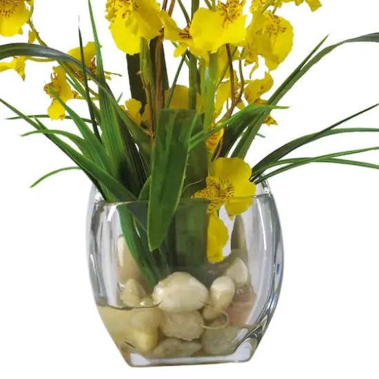 19" Yellow Dancing Lady Orchid Arrangement in Glass Vase {4}