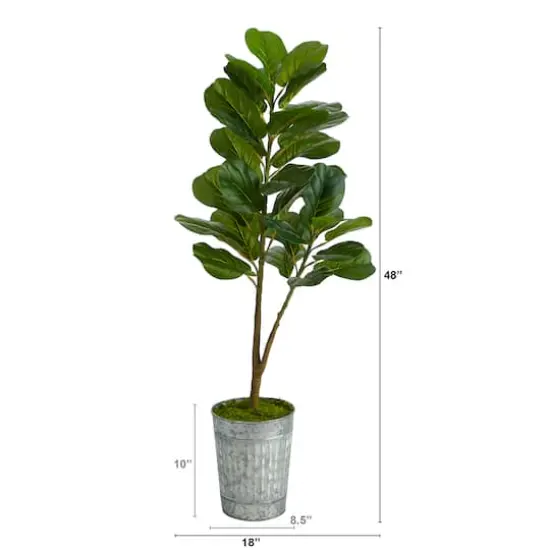 4ft. Fiddle Leaf Fig Tree in Metal Planter {3}