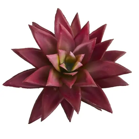 Burgundy Agave Succulent Pick, 12ct. {3}