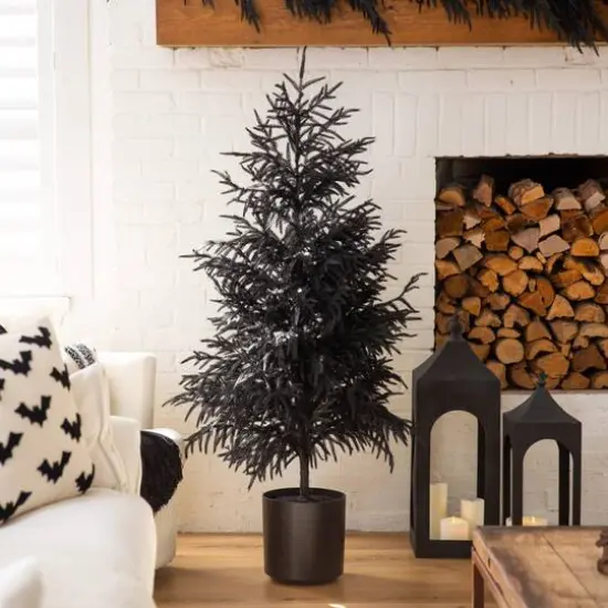 5ft. Artificial Halloween Real Touch Black Norfolk Pine Christmas Tree with Natural Look {9}