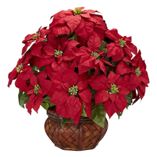 22" Potted Poinsettia with Decorative Planter {1}