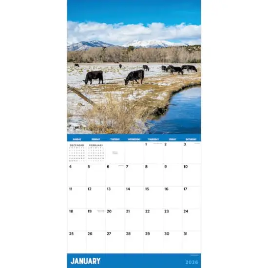 2026 Ranch Life Wall Calendar {3}