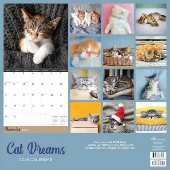 2026 Cat Dreams Wall Calendar {6}