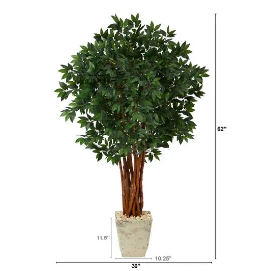 5ft. Lychee Tree in Country White Planter {3}