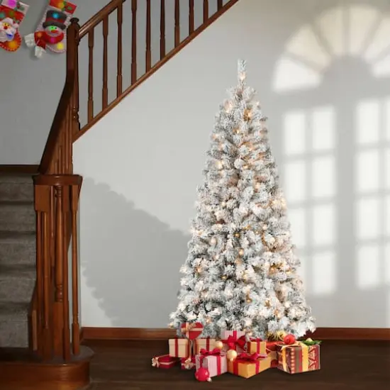 6ft. Pre-Lit Acacia Flocked Artificial Christmas Tree, Clear Lights {3}