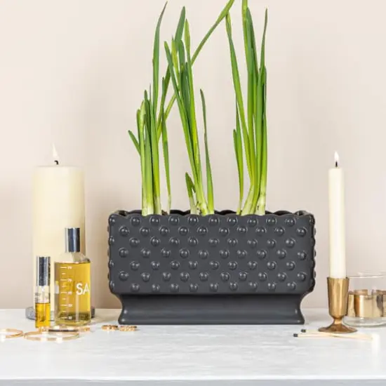 Hello Honey® 11" Black Ceramic Hobnail Planter with Scalloped Edge {4}