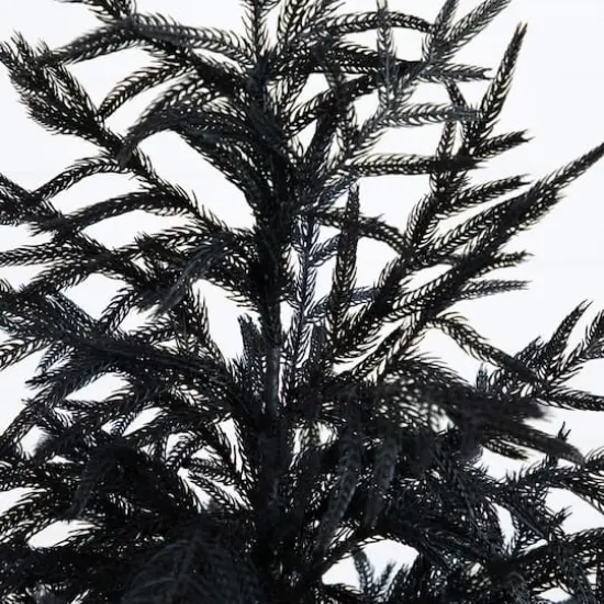 5ft. Artificial Halloween Real Touch Black Norfolk Pine Christmas Tree with Natural Look {4}