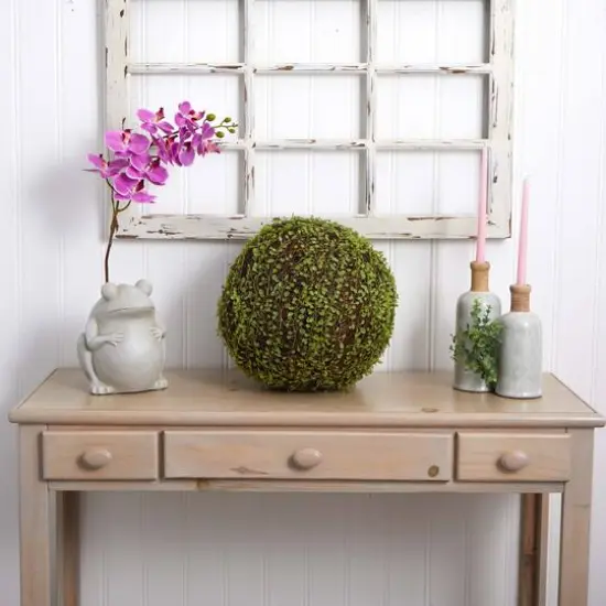 2.5ft. Mohlenbechia Ball in Black Tower Vase {5}