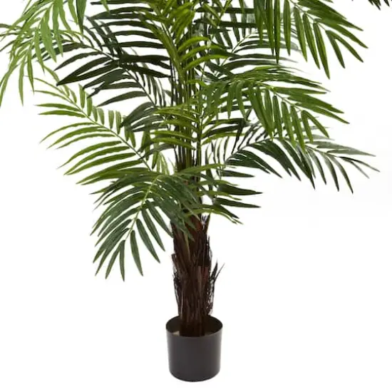 6ft. Potted Green Areca Palm Tree {4}