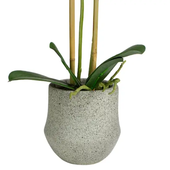 14" Purple Orchid Plant in Gray Stone Pot {5}