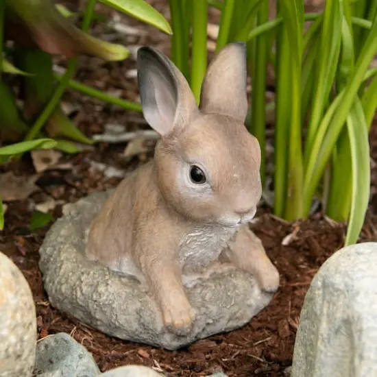 6" Curious Bunny Garden D&eacute;cor {7}