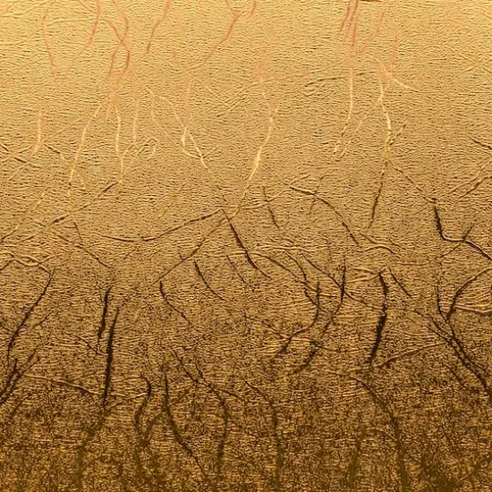 Cricut&reg; Martha Stewart Gilded Black Tie Mixed Materials {4}