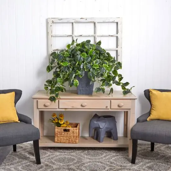 2.5ft. Hanging Pothos with Slate Planter {8}