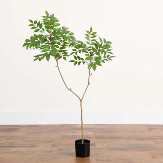3.5ft. Potted Sumac Tree {4}