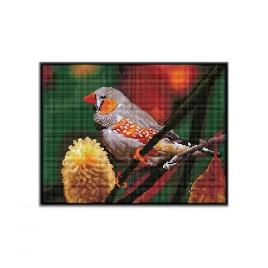 Diamond Dotz&reg; Intermediate Gouldian Finch Pre-Framed Diamond Painting Kit {5}