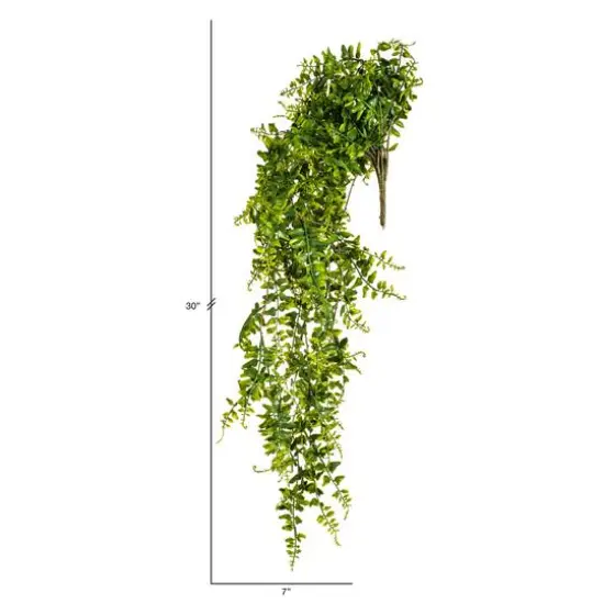 2.5ft. Green Buckler Fern Vine {5}
