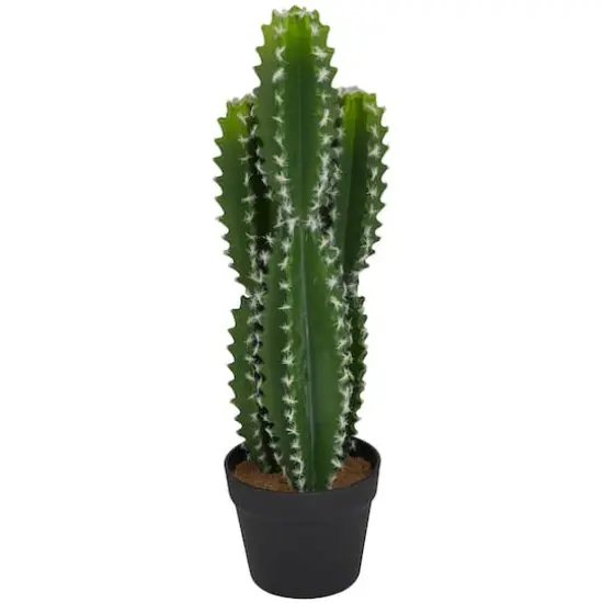 2ft. Green Cactus Faux Foliage Artificial Plant with Black Round Pot {1}
