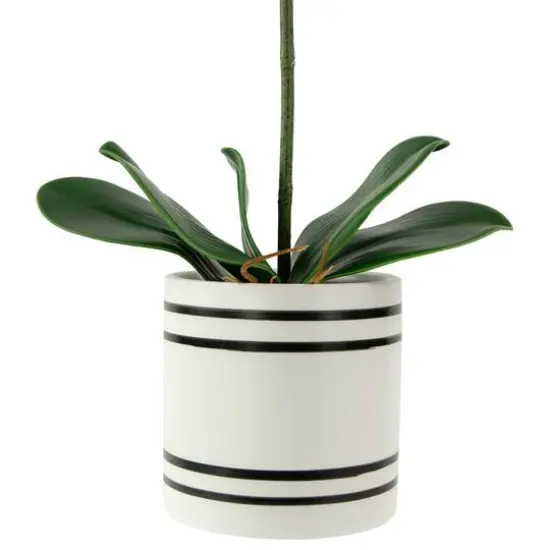 24" Real Touch™ Pink Orchid in a Striped Ceramic Pot {6}
