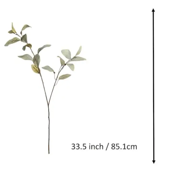 Green Feather Eucalyptus Stem by Ashland&reg; {4}