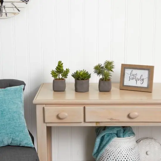 8" Succulent Trio in Gray Planter {6}