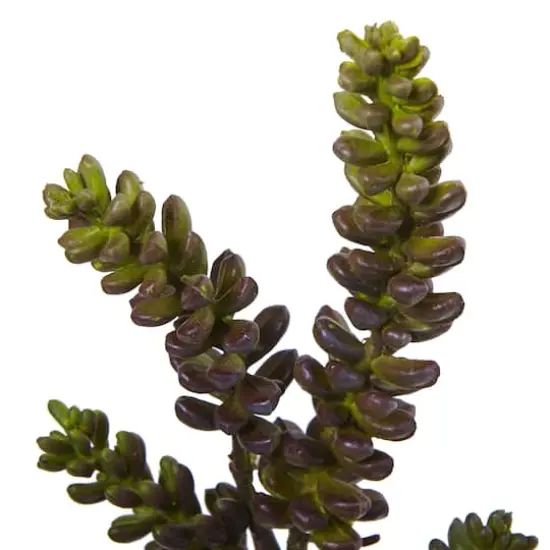 Green Succulent Stem, 12ct. {3}