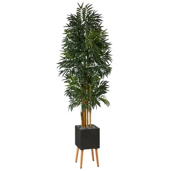 6.5ft. Phoenix Palm Tree in Black Planter with Stand {1}