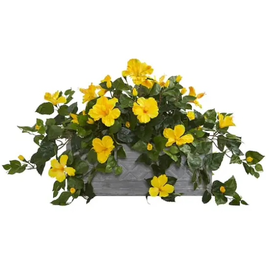 18" Yellow Hibiscus Plant in Stone Planter {1}