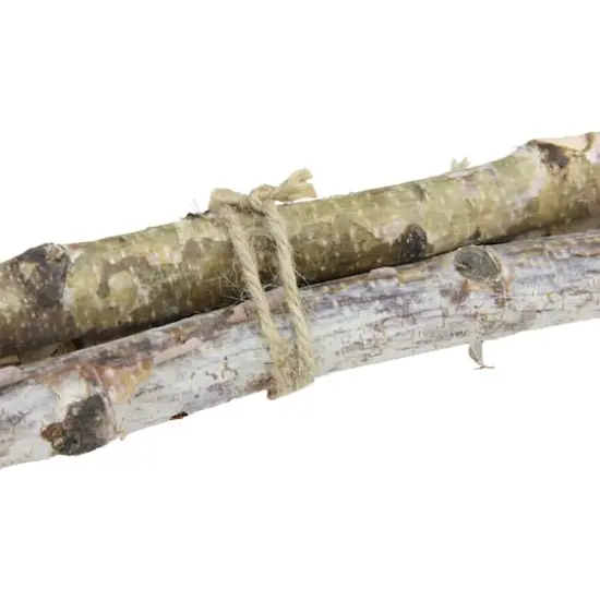 Brown Birch Wood Branch Bundle, 3ct. {4}
